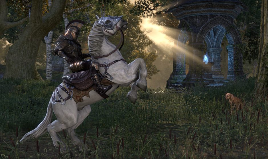 Elder Scrolls Online getting new zones, active world PvP and more