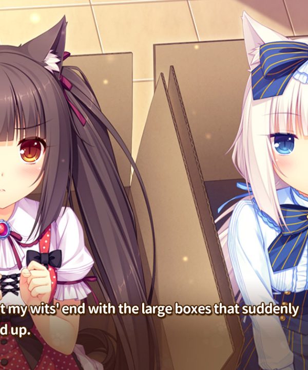 E Hentai Nekopara