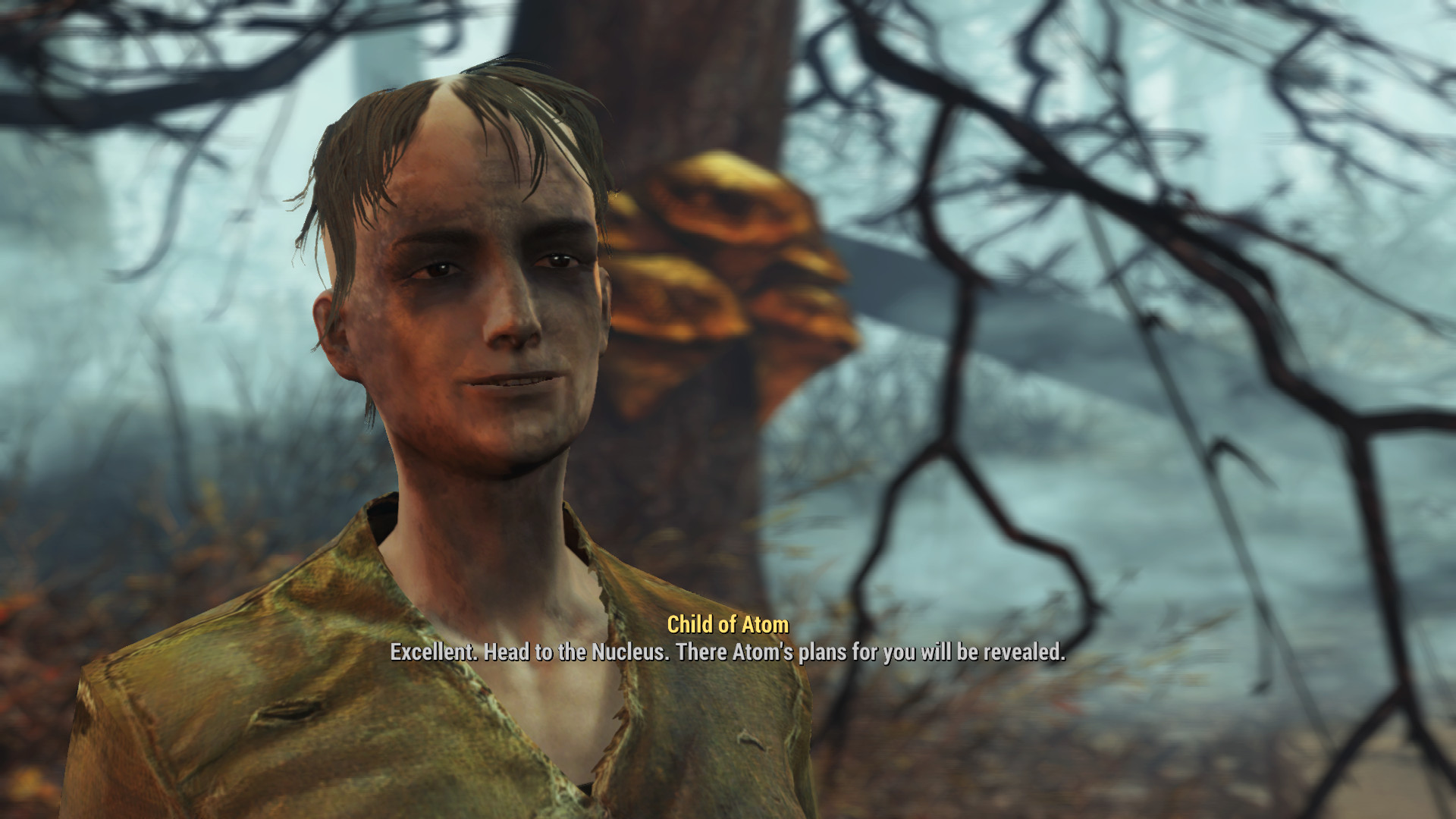 Fallout 4 дети атома пароль фото 12