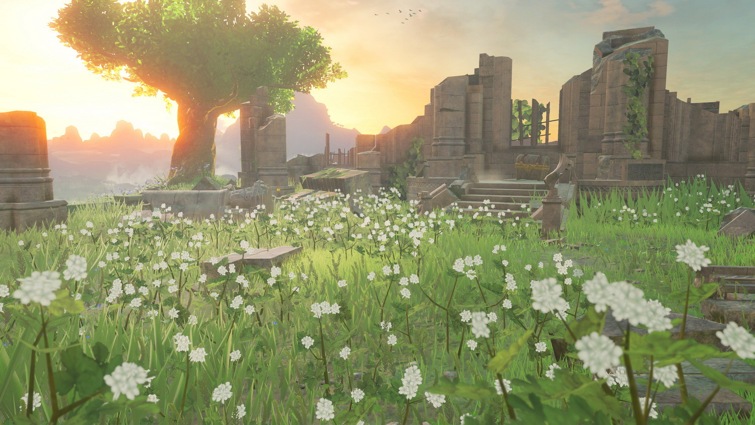 The Legend of Zelda: Breath of the Wild Wii U vs Switch Differences Revealed