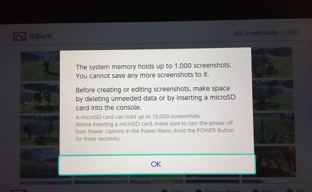 Nintendo Switch Internal Memory Can Hold 1000 Screenshots With More On SD Card