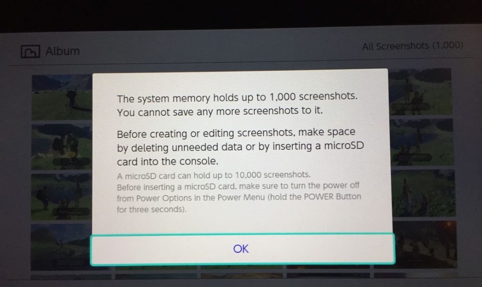 Nintendo Switch Internal Memory Can Hold 1000 Screenshots With More On SD Card