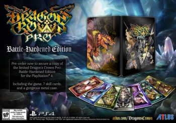 Dragon's Crown Pro 'Battle-Hardened Edition' announced and detailed