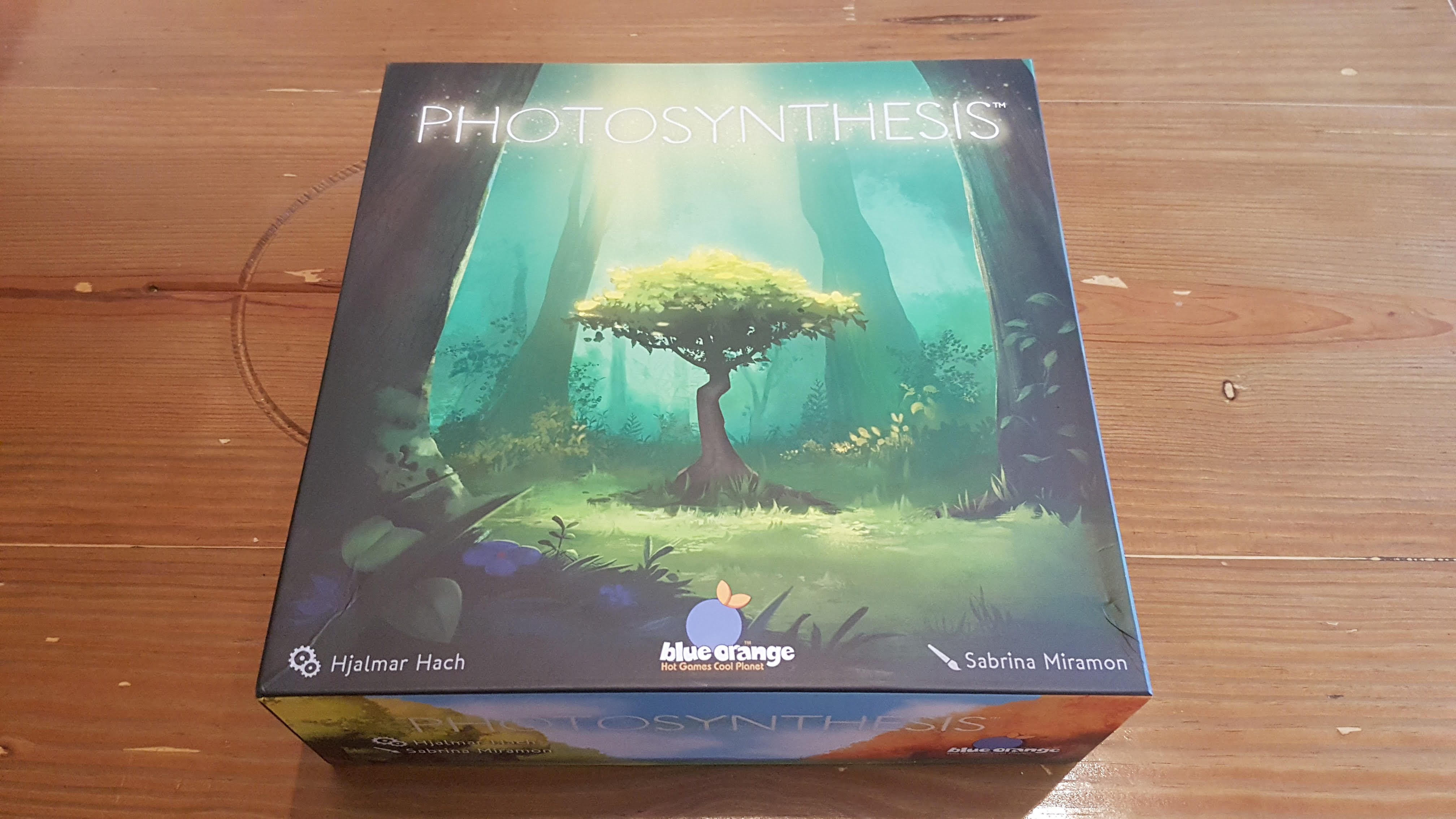 Photosynthesis Review – A Puzzle That Grows On You