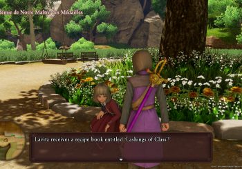 Dragon Quest XI Guide - Quests List (Before the Big Event)