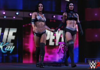 All The New Gameplay Features You Can Expect To See In WWE 2K19
