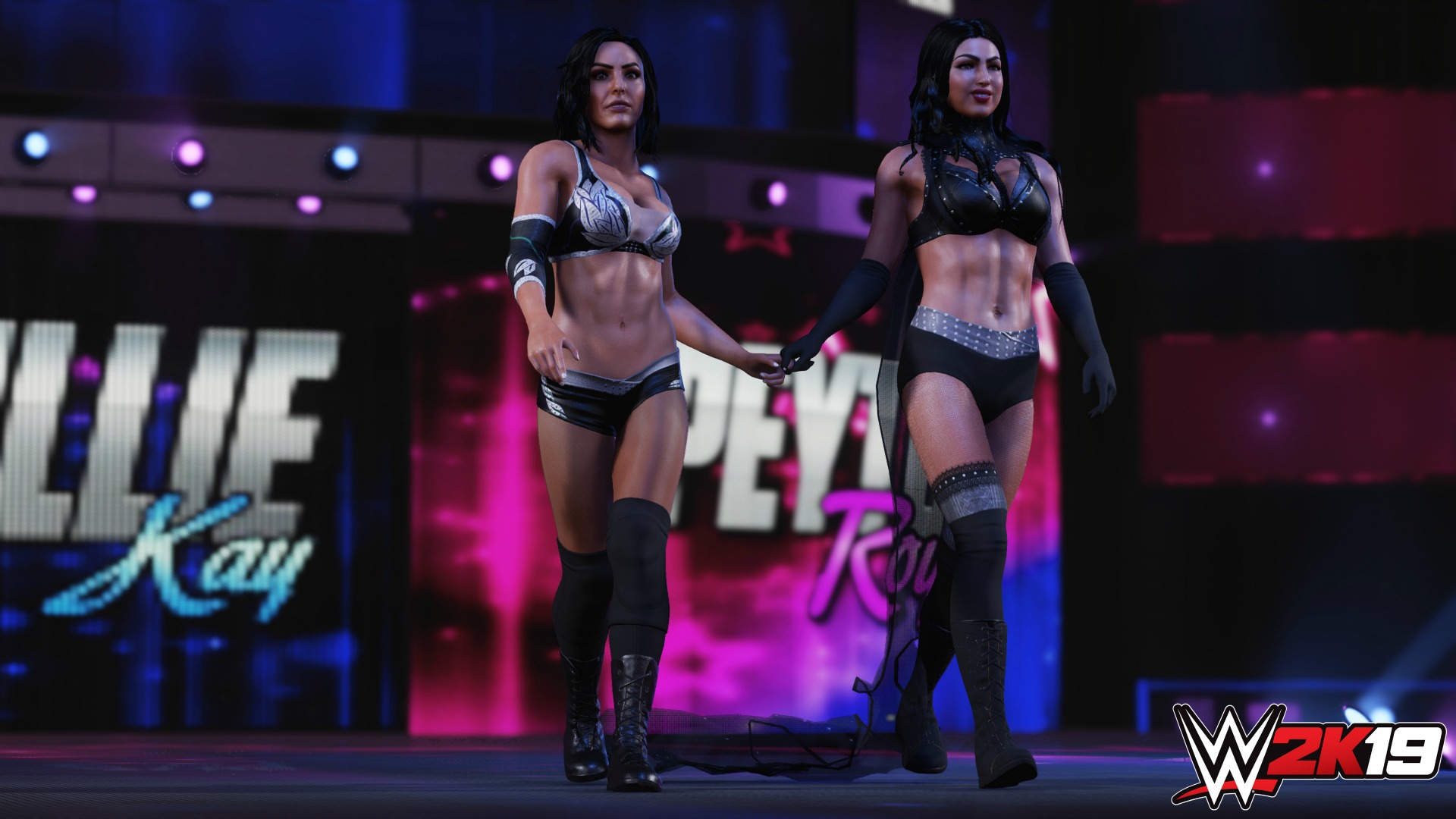 All The New Gameplay Features You Can Expect To See In WWE 2K19