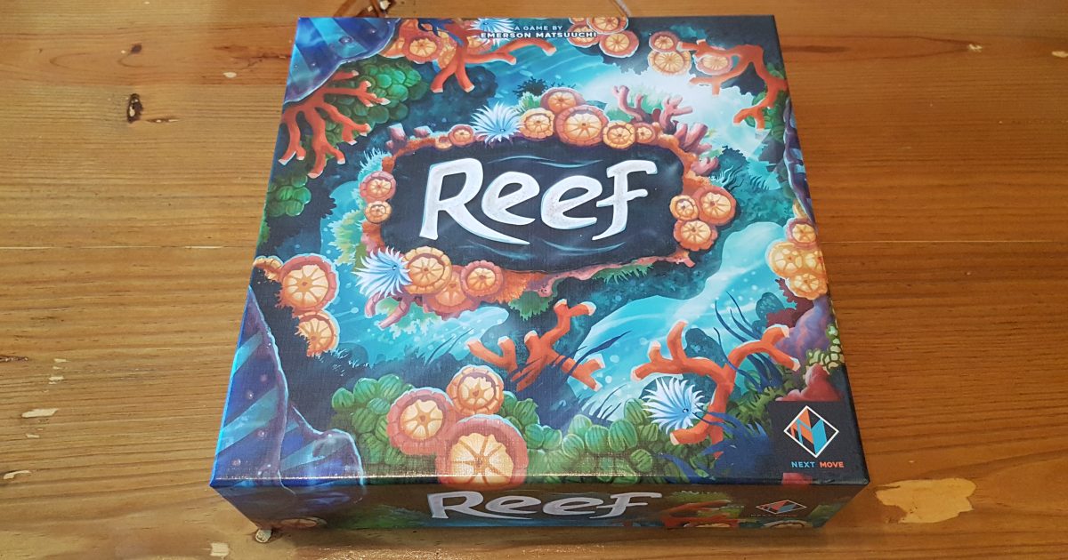 Reef Review – A Sea-riously Great Experience