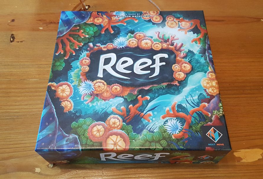 Reef Review – A Sea-riously Great Experience