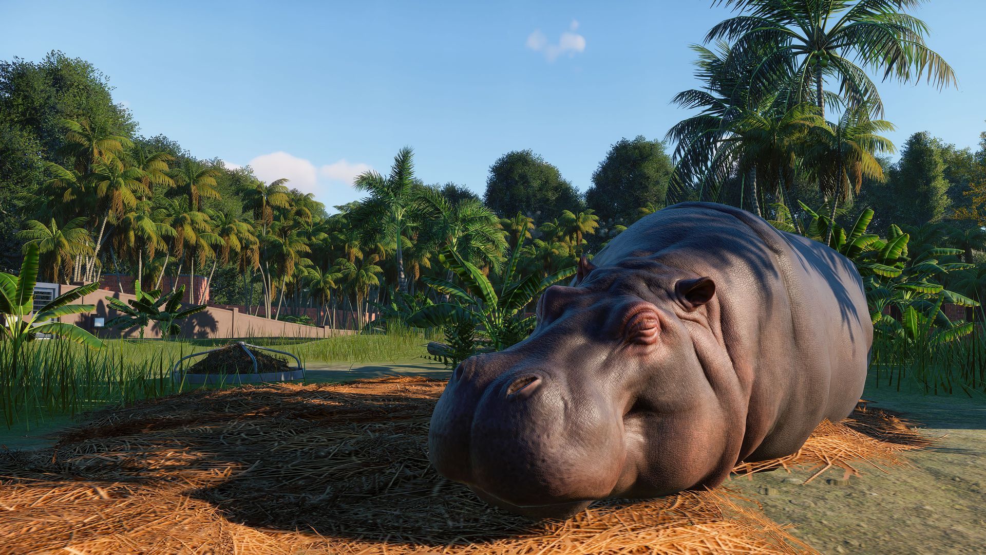 E3 2019: Planet Zoo Release Date & In-Game Footage Revealed