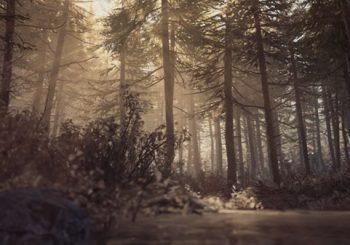 Blair Witch 'Tour through the Woods' trailer shows off stunning 4K visuals