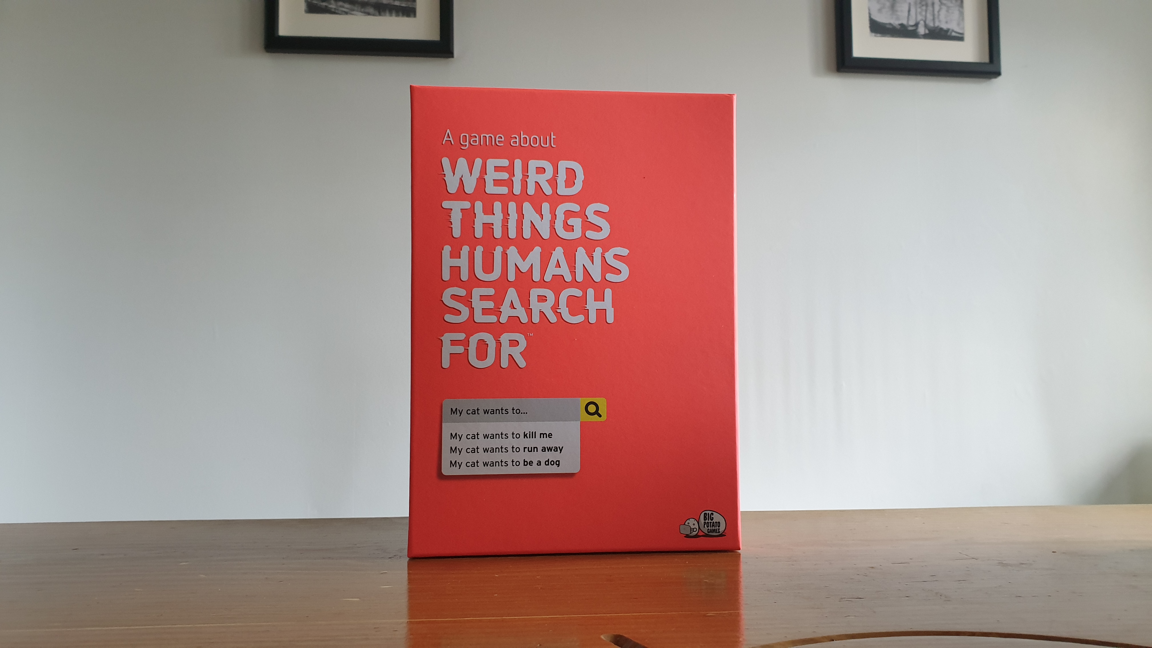 Weird Things Humans Search For Review – Laugh At Google