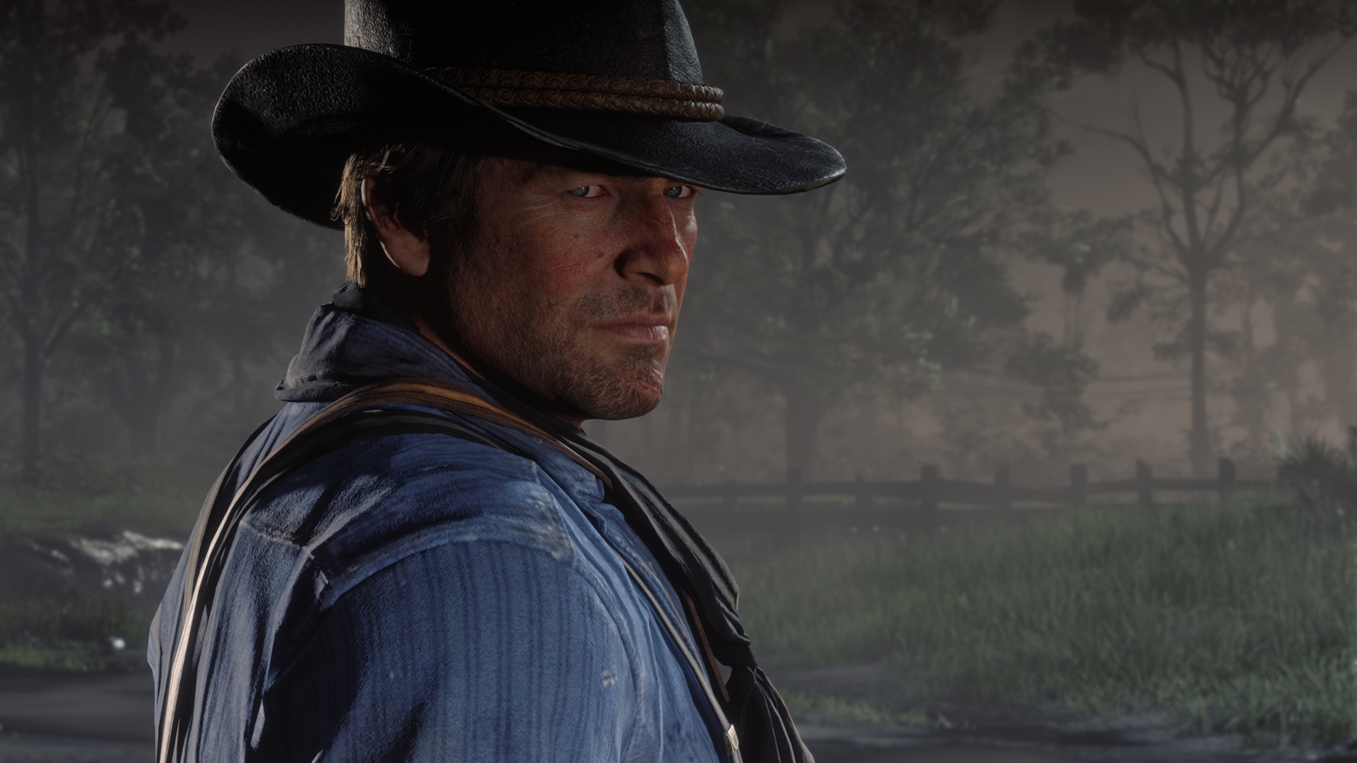 Red Dead Redemption 2 PC  4K trailer released