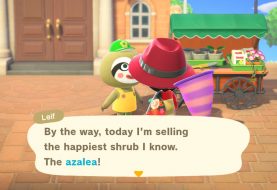 Animal Crossing: New Horizons - How to Find Leif