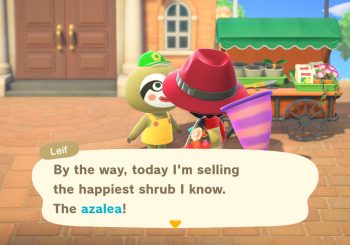 Animal Crossing: New Horizons - How to Find Leif