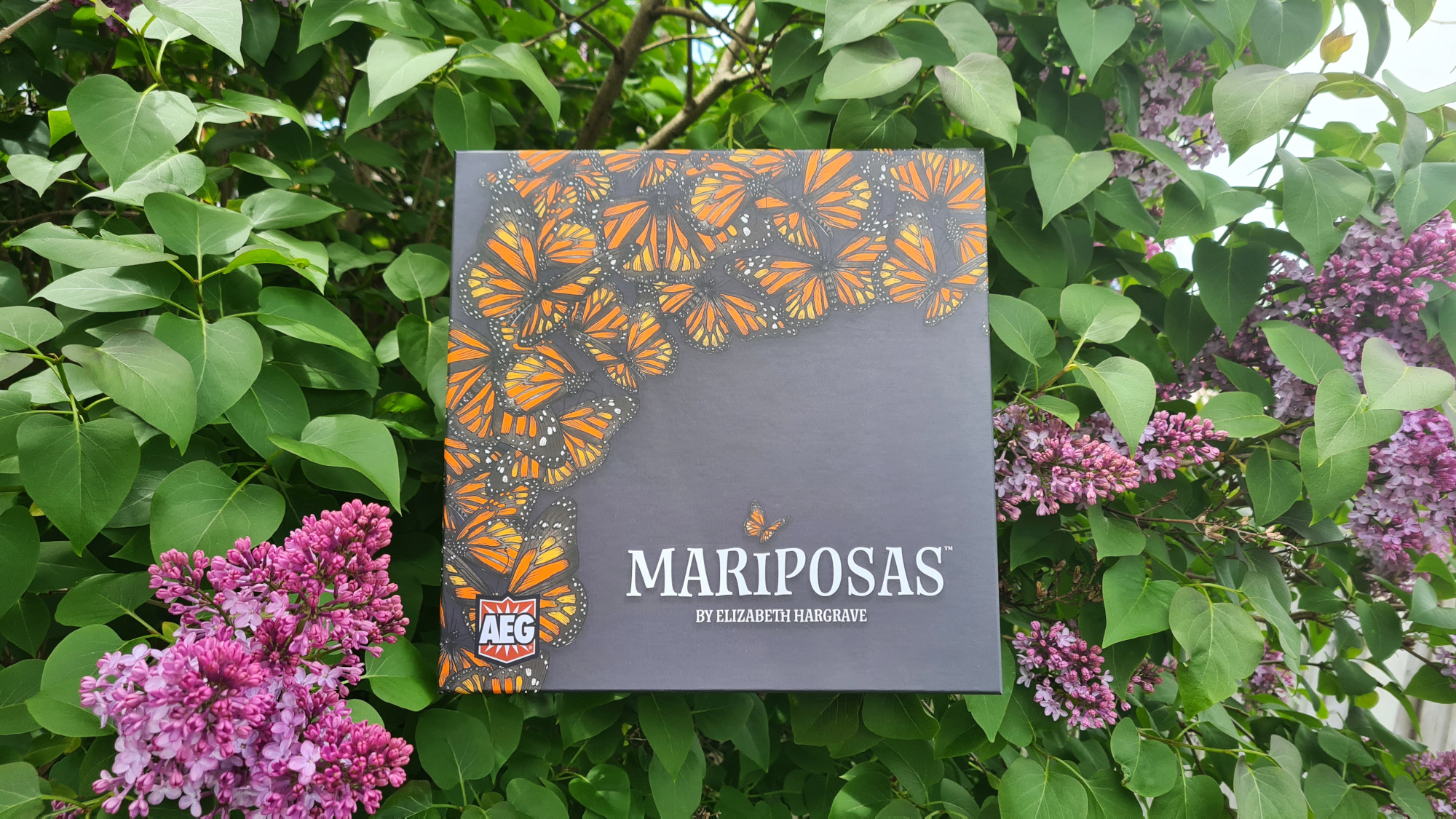 Mariposas Review