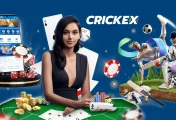 Crickex Online Casino India [current_date format='Y'] - Bridging the Thrill of Sports with the Excitement of Casino Games!